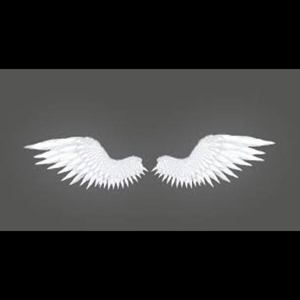 161353E4 3085 4F19 B8D6 9D7BE239604E Thumbnail