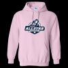 Heavy Blend Hooded Sweatshirt Thumbnail