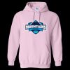 Heavy Blend Hooded Sweatshirt Thumbnail